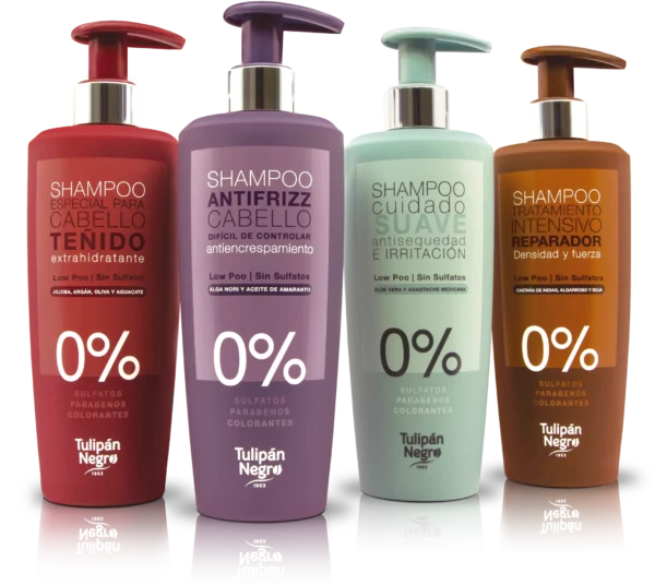 Shampoing sans sulfate Low Poo
